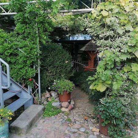 Pension Am Buhnenkopf Tangermünde المظهر الخارجي الصورة